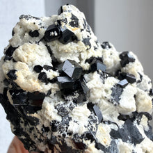Ladda upp bild till gallerivisning, Black Tourmaline (collector grade)
