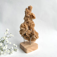 Load image into Gallery viewer, Desert Rose on a stand, #3
