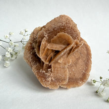 Load image into Gallery viewer, Desert Rose on a stand, #5

