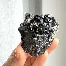 Ladda upp bild till gallerivisning, Black Tourmaline (collector grade)
