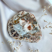Load image into Gallery viewer, Petrified Wood Slice #4
