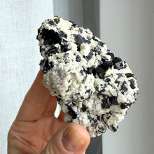 Ladda upp bild till gallerivisning, Black Tourmaline (collector grade)
