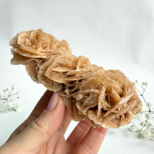 Load image into Gallery viewer, Desert Rose on a stand, #4
