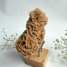 Load image into Gallery viewer, Desert Rose on a stand, #4
