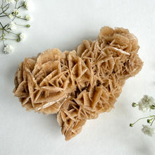 Load image into Gallery viewer, Desert Rose on a stand, #4
