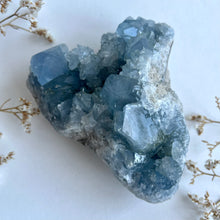 Load image into Gallery viewer, Celestite Cluster 1011g
