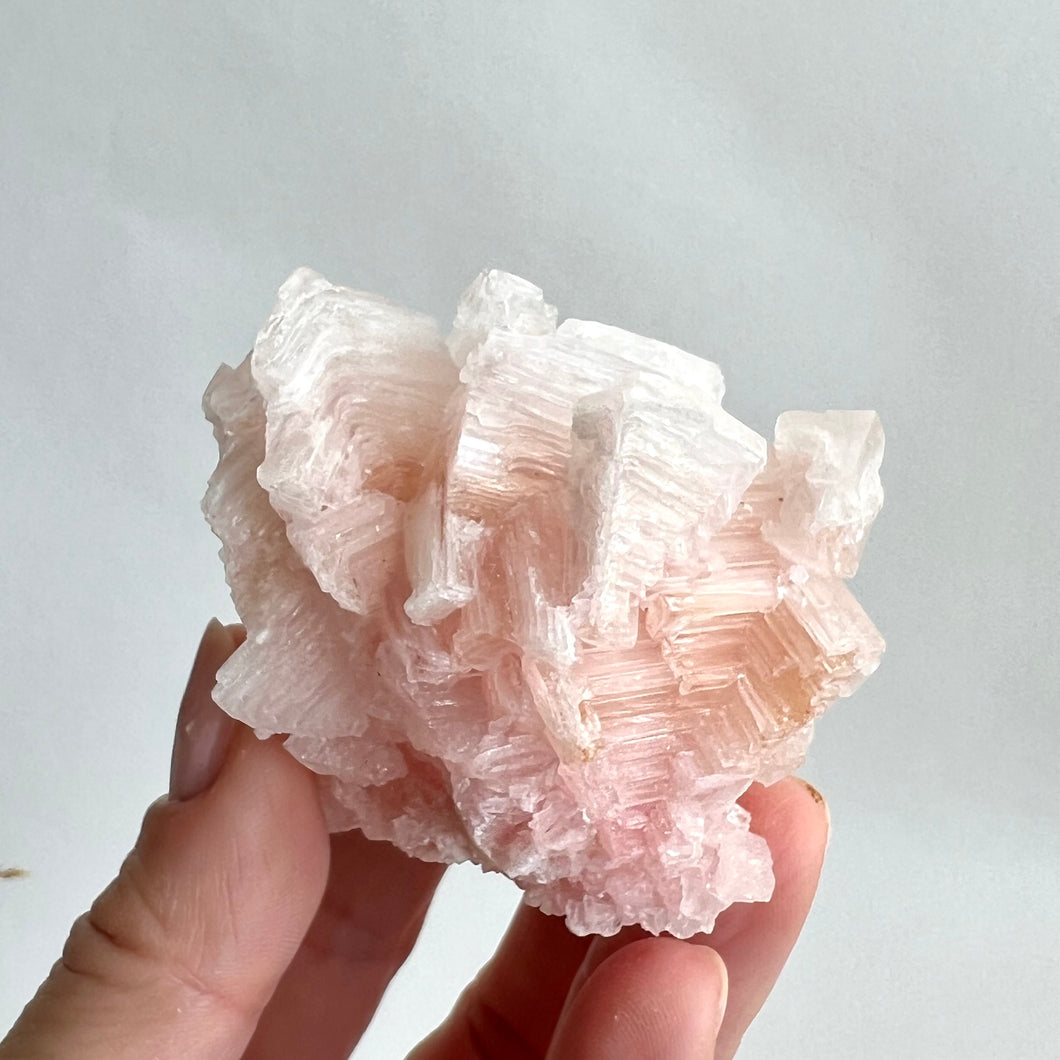 Pink Halite Cluster #5