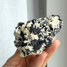 Ladda upp bild till gallerivisning, Black Tourmaline (collector grade)

