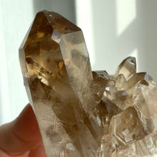 Load image into Gallery viewer, Smokey Quartz Cluster #9
