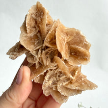 Load image into Gallery viewer, Desert Rose on a stand, #6
