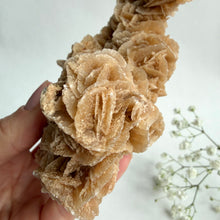 Load image into Gallery viewer, Desert Rose on a stand, #3
