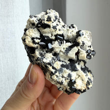 Ladda upp bild till gallerivisning, Black Tourmaline (collector grade)
