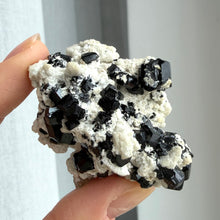 Ladda upp bild till gallerivisning, Black Tourmaline (collector grade)
