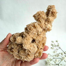 Load image into Gallery viewer, Desert Rose on a stand, #3
