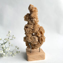 Load image into Gallery viewer, Desert Rose on a stand, #3
