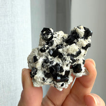 Ladda upp bild till gallerivisning, Black Tourmaline (collector grade)
