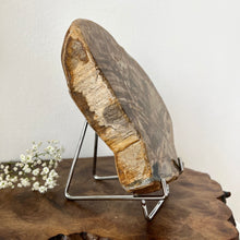Load image into Gallery viewer, Petrified Wood Slab 1520 g
