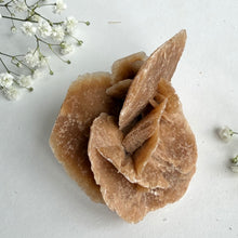 Load image into Gallery viewer, Desert Rose #7
