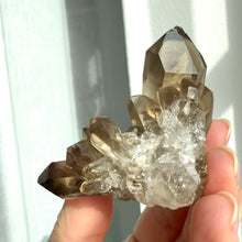 Load image into Gallery viewer, Smokey Quartz Cluster #9
