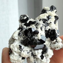 Ladda upp bild till gallerivisning, Black Tourmaline (collector grade)
