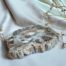 Load image into Gallery viewer, Petrified Wood Slice #4
