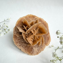 Load image into Gallery viewer, Desert Rose on a stand, #5
