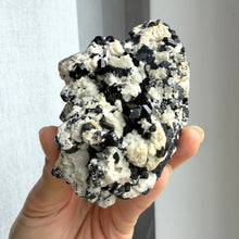 Ladda upp bild till gallerivisning, Black Tourmaline (collector grade)
