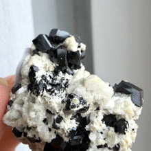 Ladda upp bild till gallerivisning, Black Tourmaline (collector grade)
