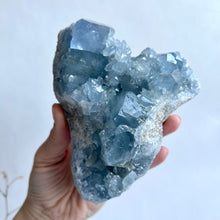 Load image into Gallery viewer, Celestite Cluster 1011g
