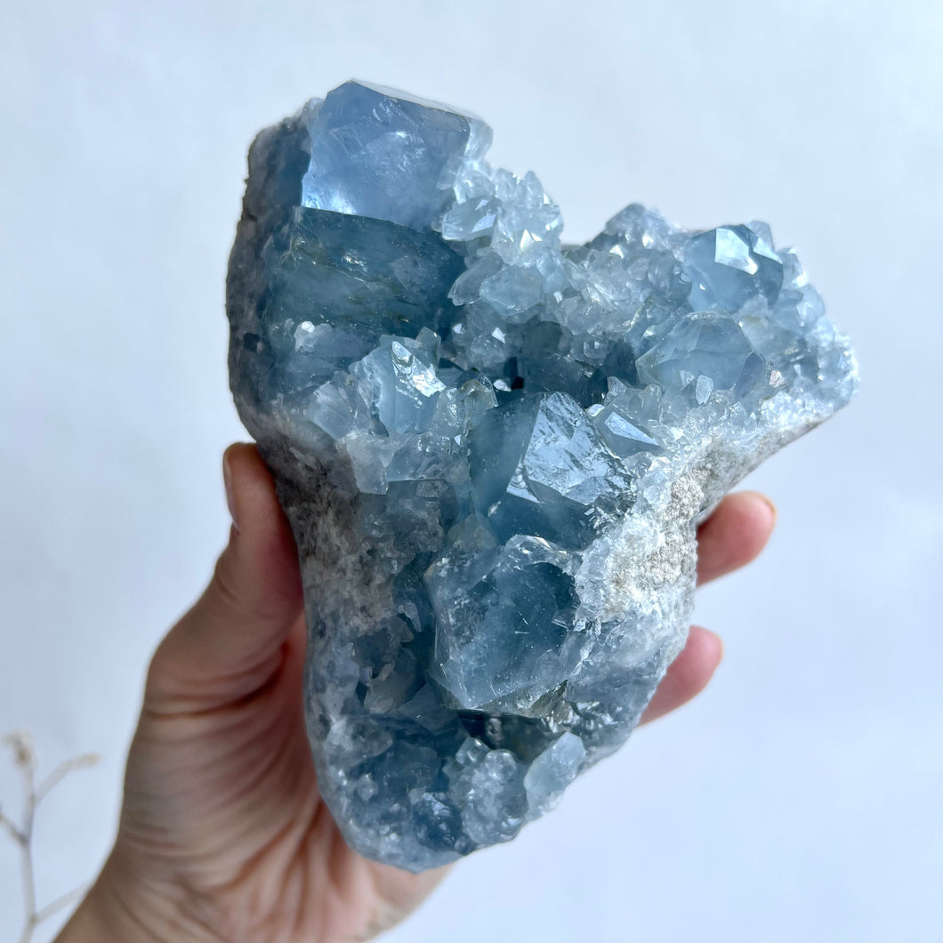 Celestite Cluster 1011g