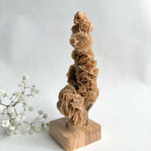 Load image into Gallery viewer, Desert Rose on a stand, #3
