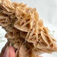 Load image into Gallery viewer, Desert Rose on a stand, #4
