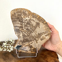 Load image into Gallery viewer, Petrified Wood Slab 1520 g
