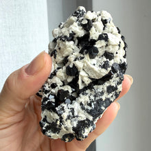 Ladda upp bild till gallerivisning, Black Tourmaline (collector grade)

