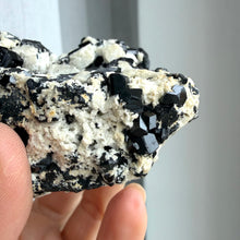 Ladda upp bild till gallerivisning, Black Tourmaline (collector grade)

