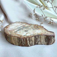 Load image into Gallery viewer, Petrified Wood Slice #3

