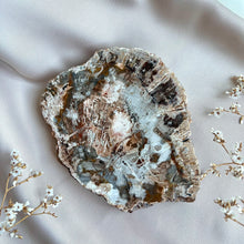Load image into Gallery viewer, Petrified Wood Slice #4
