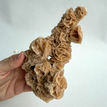 Load image into Gallery viewer, Desert Rose on a stand, #3
