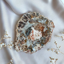 Load image into Gallery viewer, Petrified Wood Slice #4
