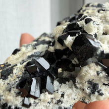 Ladda upp bild till gallerivisning, Black Tourmaline (collector grade)
