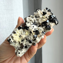 Load image into Gallery viewer, Black Tourmaline (collector grade)

