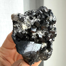 Ladda upp bild till gallerivisning, Black Tourmaline (collector grade)
