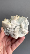 Load and play video in Gallery viewer, Chalcedony Druzy with Dog Tooth Calcite
