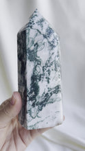 Load and play video in Gallery viewer, Moss Agate Crystal Point XL #5
