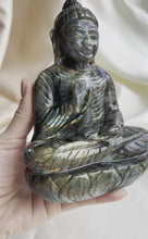 Load and play video in Gallery viewer, Labradorite Buddha, Large
