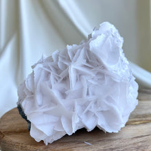 Load image into Gallery viewer, Petal-Bladed White Calcite Cluster #3
