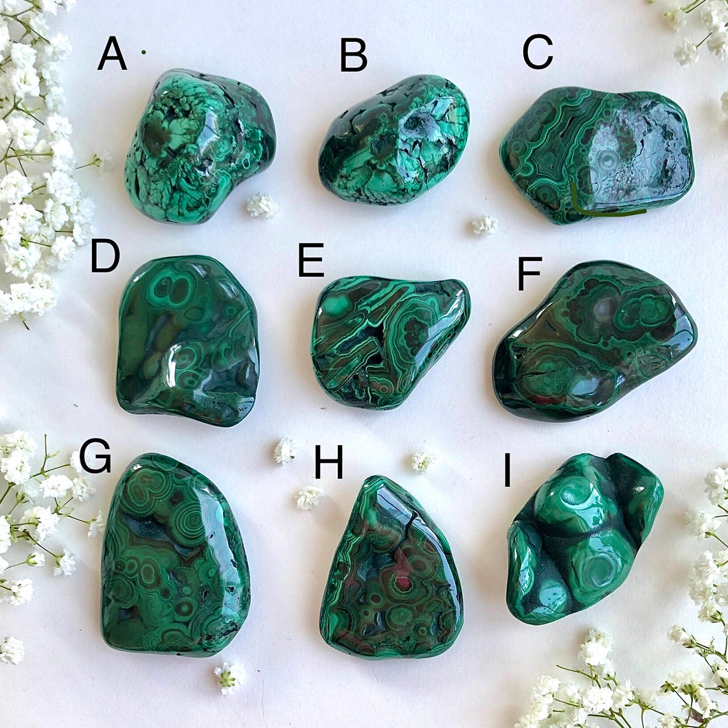 Malachite Jumbo Stone (you pick)
