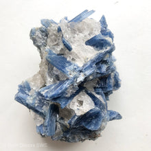 Load image into Gallery viewer, Blue Kyanite Cluster Large
