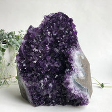 Load image into Gallery viewer, Amethyst Standing Druzy XL, 2780g
