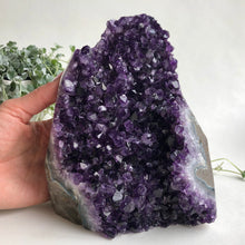 Load image into Gallery viewer, Amethyst Standing Druzy XL, 2780g
